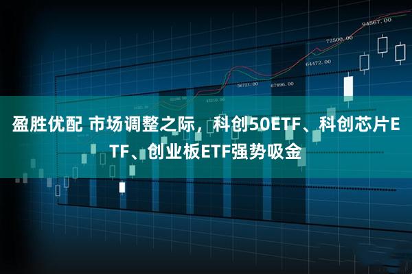盈胜优配 市场调整之际，科创50ETF、科创芯片ETF、创业板ETF强势吸金