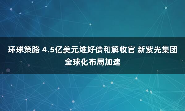 环球策路 4.5亿美元维好债和解收官 新紫光集团全球化布局加速